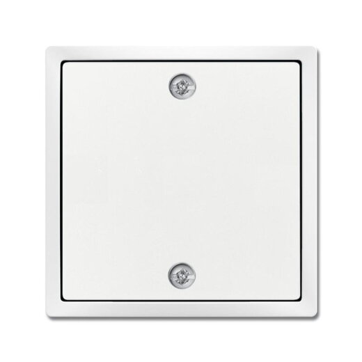 Busch-Jaeger Zentralscheibe 1796-84 für Zugschalter