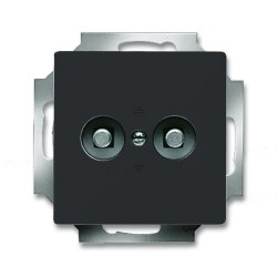 Busch-Jaeger Zentralscheibe 2095 UC-81