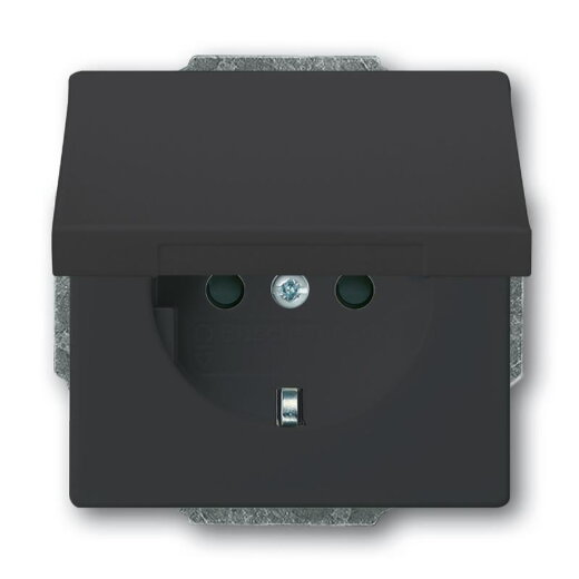 Busch-Jaeger Steckdose SCHUKO Zentralscheibe 20 EUKB-81 mit Klappdeckel