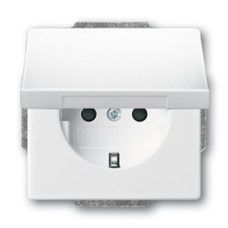 Busch-Jaeger Zentralscheibe 20 EUKB-84