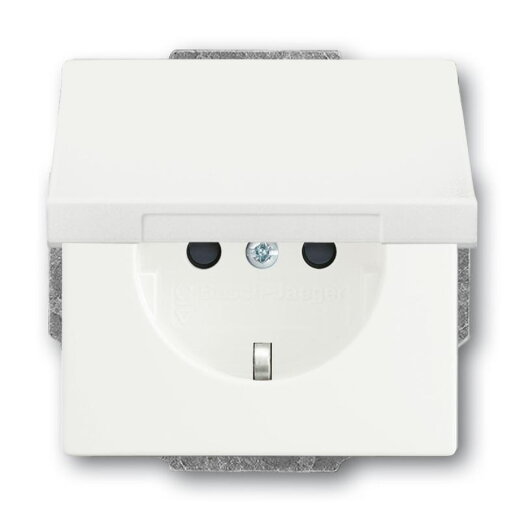 Busch-Jaeger Zentralscheibe 20 EUKB-884