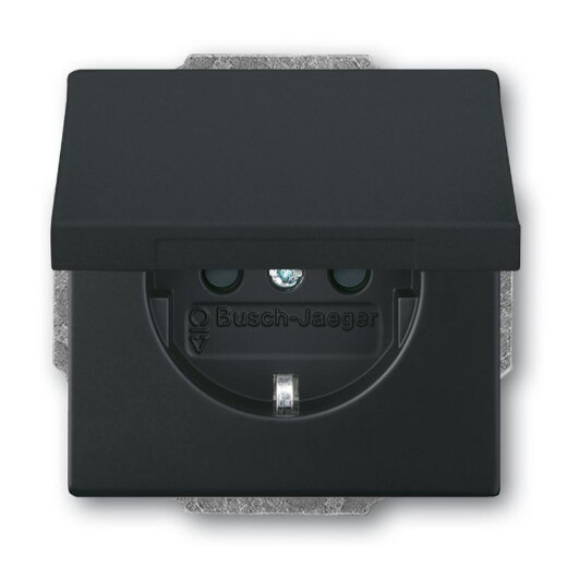 Busch-Jaeger Zentralscheibe 20 EUKB-885