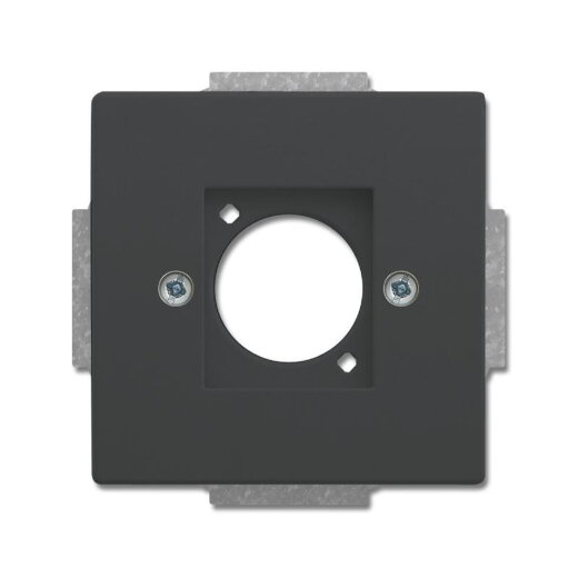 Busch-Jaeger Zentralscheibe 2553-81