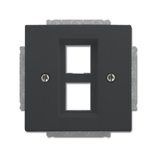 Busch-Jaeger Zentralscheibe 2561-02-81