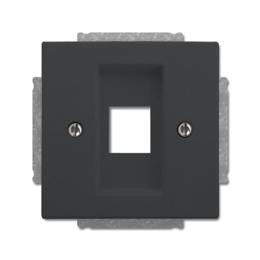 Busch-Jaeger Zentralscheibe 2561-81