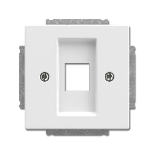 Busch-Jaeger Zentralscheibe 2561-84 mit Tragring