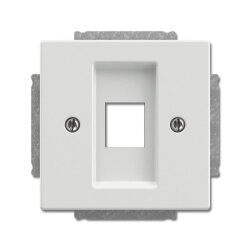 Busch-Jaeger Zentralscheibe 2561-884