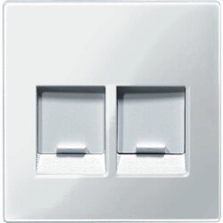 Merten Zentralplatte MEG4562-0319 2fach polarweiss glaenzend