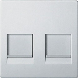 Merten Zentralplatte MEG4562-0419 2fach polarweiss