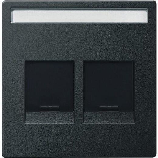 Merten Zentralplatte MEG4564-0414 2fach anthrazit