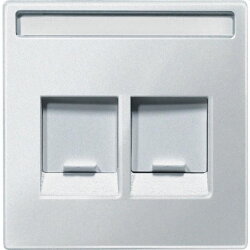 Merten Zentralplatte MEG4564-0419 2fach polarweiss