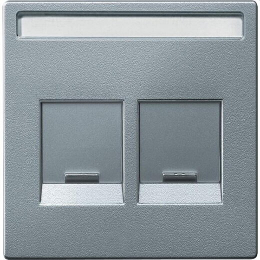 Merten Zentralplatte MEG4564-0460 2fach aluminium