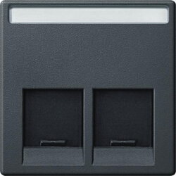 Merten Zentralplatte MEG4574-0414 2fach anthrazit System M