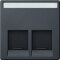 Merten Zentralplatte MEG4574-0414 2fach anthrazit System M