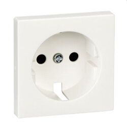 Merten Zentralplatte MEG2330-0419 pw System M