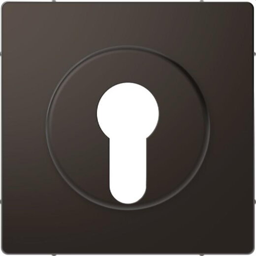 Merten Zentralplatte Anthrazit System Design