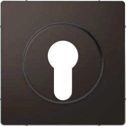 Merten Zentralplatte Anthrazit System Design