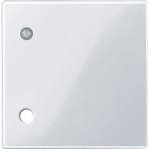 Merten Zentralplatte 450725 aktivweiss glaenzend System M