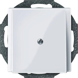 Merten Zentralplatte 296325 aktivweiss glaenzend System M