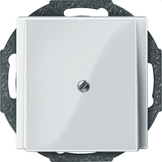 Merten Zentralplatte 296319 polarweiss glaenzend System M