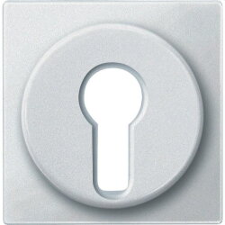 Merten Zentralplatte 318119 polarweiss SYSTEM M