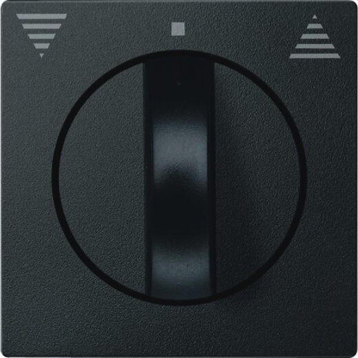 Merten Zentralplatte 569814 anthrazit System M