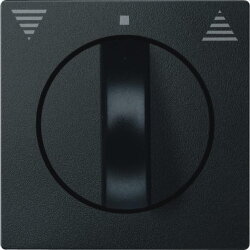 Merten Zentralplatte 569814 anthrazit System M
