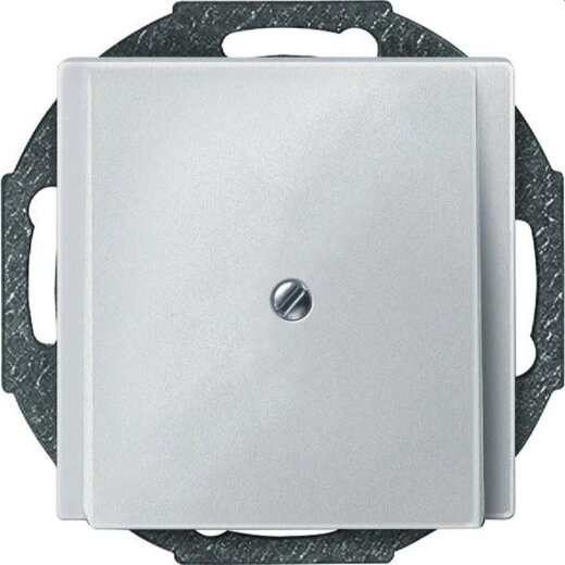 Merten Zentralplatte 295619 polarweiss SYSTEM M