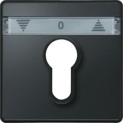 Merten Zentralplatte 348214 anthrazit AQUADESIGN