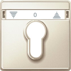 Merten Zentralplatte 348244 weiss AQUADESIGN