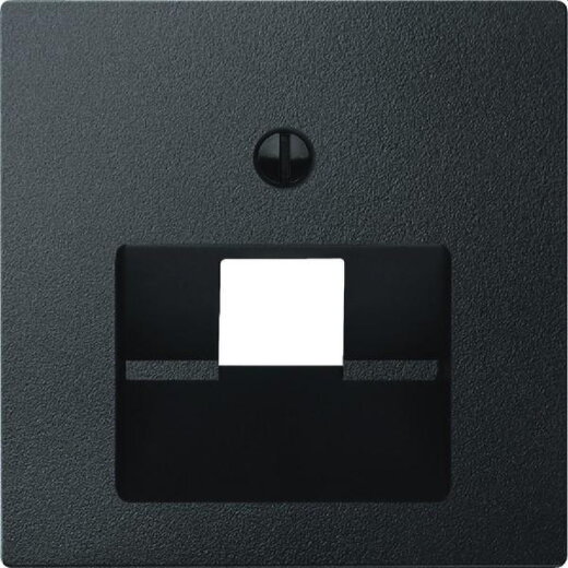 Merten Zentralplatte 298314 anthrazit System M