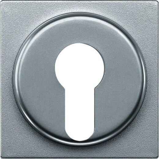 Merten Zentralplatte 318160 aluminium System M