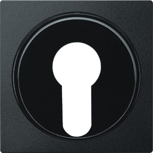 Merten Zentralplatte 318114 anthrazit System M