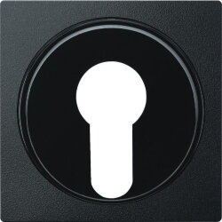 Merten Zentralplatte 318114 anthrazit System M