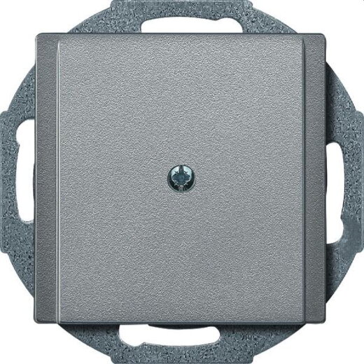 Merten Zentralplatte 295660 aluminium System M