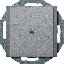 Merten Zentralplatte 295660 aluminium System M