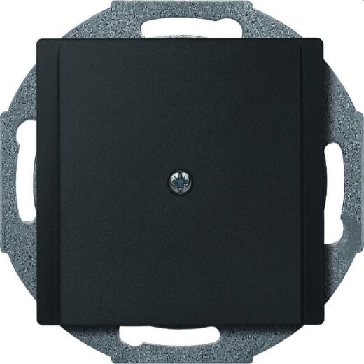 Merten Zentralplatte 295614 anthrazit System M
