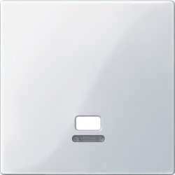 Merten Zentralplatte MEG3380-0325 aktivweiss glaenzend