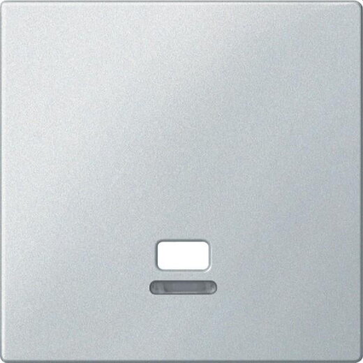 Merten Zentralplatte MEG3380-0419 polarweiss System M