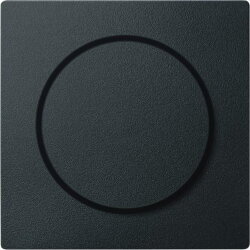 Merten Zentralplatte MEG5250-0414 anthrazit System M