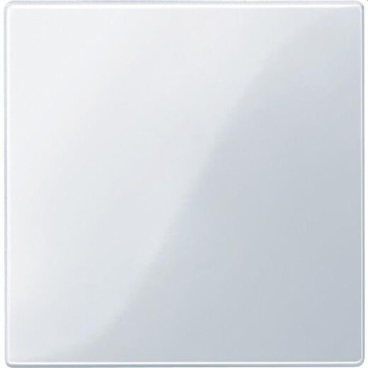 Merten Zentralplatte 450025 aktivweiss glaenzend System M