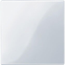 Merten Zentralplatte 450025 aktivweiss glaenzend System M