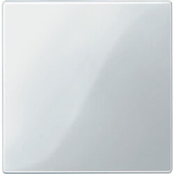 Merten Zentralplatte 450019 polarweiss glaenzend System M