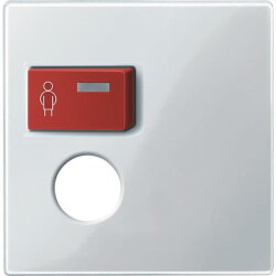 Merten Zentralplatte 450219 polarweiss glaenzend System M