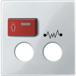 Merten Zentralplatte 450319 polarweiss glaenzend System M