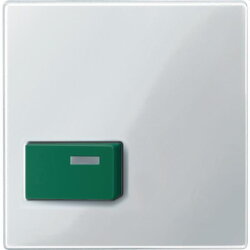 Merten Zentralplatte 451519 gruen/polarweiss glaenzend...