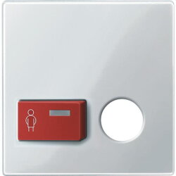 Merten Zentralplatte 450619 polarweiss glaenzend System M