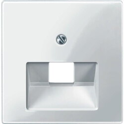 Merten Zentralplatte 296219 polarweiss glaenzend System M