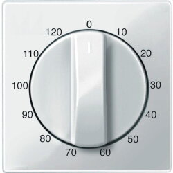 Merten Zentralplatte 567519 polarweiss glaenzend System M