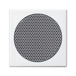 Busch-Jaeger 8253-914 Zentralscheibe